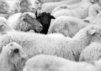 För våra kandidater